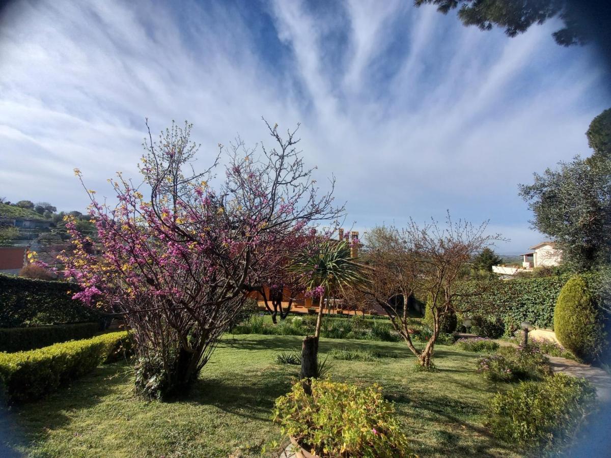 Il Parco Holiday - Locazione Turistica Fonte Nuova Exterior foto